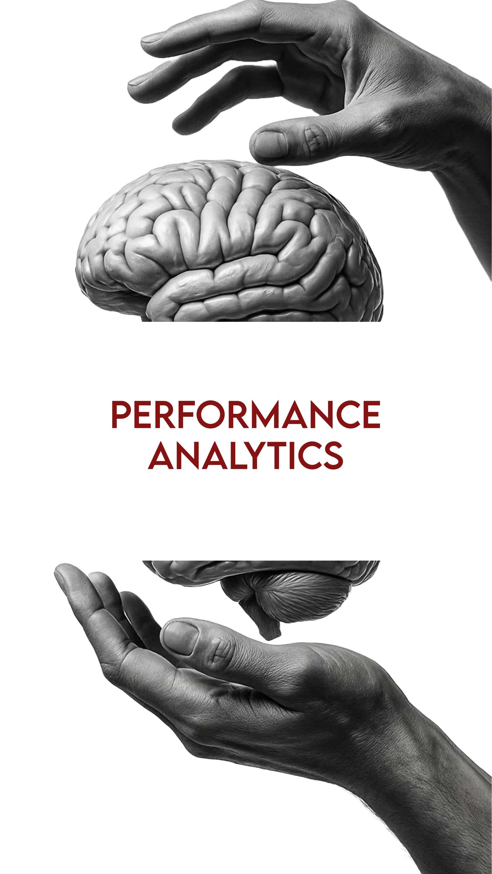 Performance Analytics